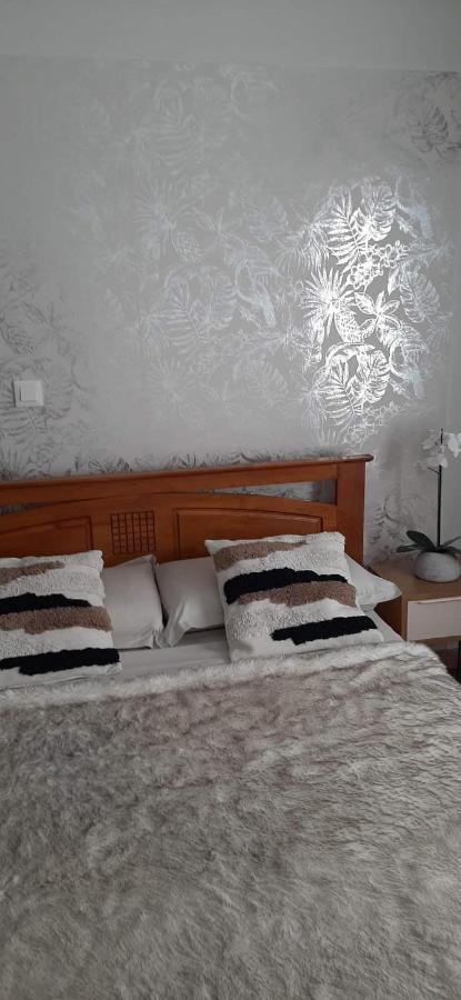 Kaz Papaye Apartment แซ็ง-ปีแยร์ ภายนอก รูปภาพ